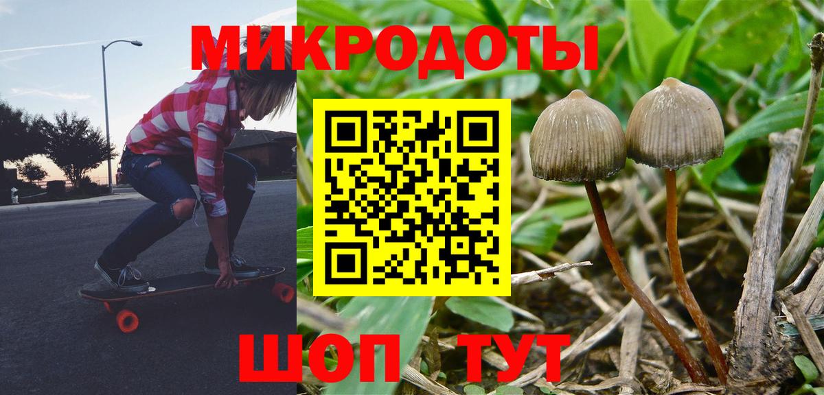Псилоцибиновые грибы Psilocybe  Вход с VPN  как найти закладки  Галлюциногенные грибы ЛСД  Евпатория 